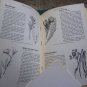 60s VTG Wild FLower Reference Book