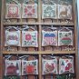 Rustic Prairie Schooler Cross Stitch Pattern A Prairie Year Book 13 Primitive Christmas Ornaments