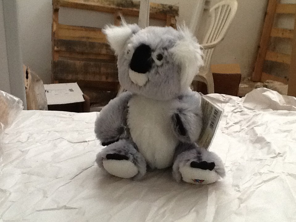 national geographic raccoon plush