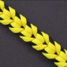 oat spike sinnet