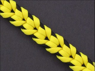 oat spike sinnet
