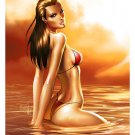 ASPEN SPLASH 2013 PHOENIX CON LIMITED ART PRINT / MICHAEL TURNER & STEIGERWALD