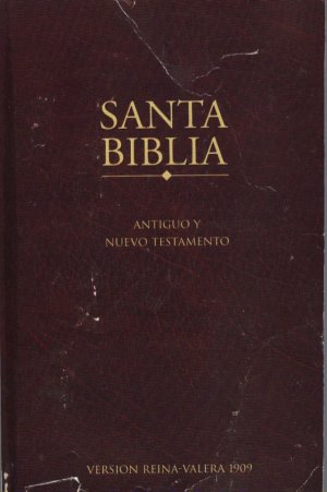 The Holy Bible in Spanish