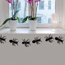 Ants border