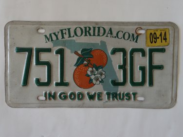 2014 Florida In God we Trust Licensee Plate