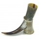 Medieval Viking Drinking Horns