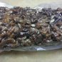 Walnuts without shell, raw