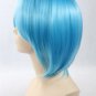 Rei Ayanami Short Party Anime Cosplay Wig Blue 32cm