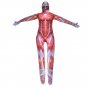 鲿ã®å·¨äººAttack on Titan The biggest Titan cosplay Strengthen Muscle Zentai Hallowmas Costume
