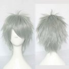 APH Axis Powers Hetalia Prussia Gilbert  cosplay Comic-Con Party golden gray short Anime wigs