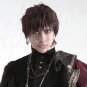 APH Axis Powers Hetalia Spain Antonio cosplay Halloween Comic-Con deep brown ponytail wigs