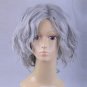 "Fate" series Monte Cristo: Edmond Dant&Atilde;&uml;s cosplay Halloween Comic-Con Party gray Anime wigs