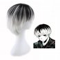 Tokyo Ghoul Ken Kaneki cosplay Comic-Con Party white and black short wigs