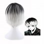 Tokyo Ghoul Ken Kaneki cosplay Comic-Con Party white and black short wigs