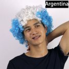 Argentina flag color's Sports games The World Cup The parade carnival  celebrate Party  fans wigs