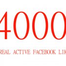 4000 REAL FACEBOOK LIKES