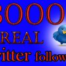 Real 3000 TWITTER followers