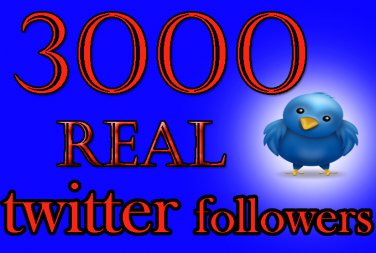 Real 3000 TWITTER followers