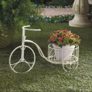 Enchanting Tricycle Planter