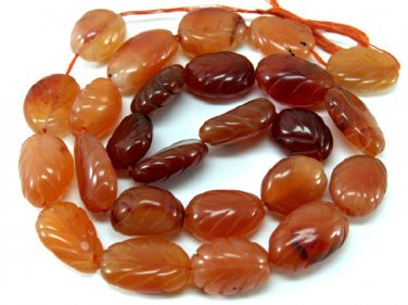Natural LARGE 18x13mm CARVED Oval CORAL Gemstones 16"