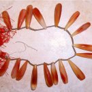 Wholesale Multi Carnelian CHALCEDONY (17 Pcs Elongated Drops set) Select-A-Size