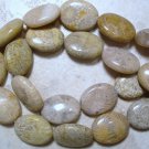 Natural 20x15mm FOSSIL Oval CORAL (5 JUMBO Beads) A+