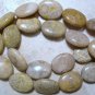 Natural 20x15mm FOSSIL Oval CORAL (5 JUMBO Beads) A+