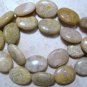 Natural 20x15mm FOSSIL Oval CORAL (5 JUMBO Beads) A+