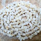 Elegant and Shiny OPAL 4-6mm Gemstone Chips 35" Str