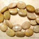 Natural 20mm long x 15mm wide FOSSIL Oval CORAL (5 Loose JUMBO Beads) A+