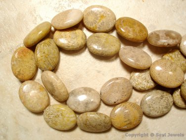Natural 20mm long x 15mm wide FOSSIL Oval CORAL (5 Loose JUMBO Beads) A+