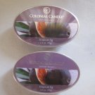 2 Colonial Candle Simmer Snaps"TROPICAL FIG" 2.4 oz wax melts/ tarts