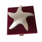 Silver Color Star Shaped Keepsake Memorial Urn For Token Amount Of Ash