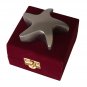 Silver Color Star Shaped Keepsake Memorial Urn For Token Amount Of Ash