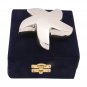 Bright Silver Star Keepsake Funeral Urn for Human Ashes, Unique Star Cremation Urn