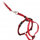 Kitty Harness & Bungee Leash Red Small