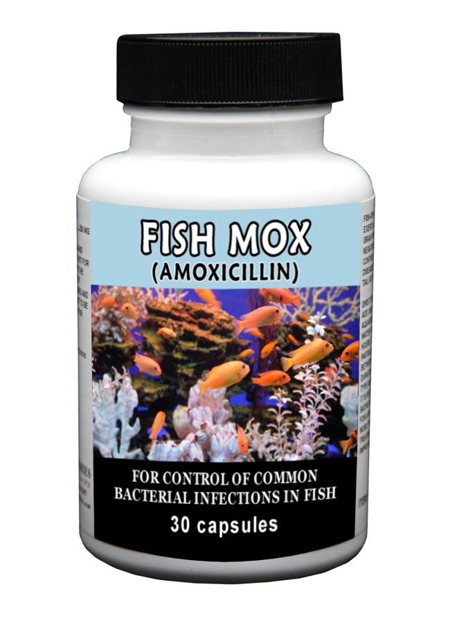 Antibiotics Amoxicillin Fish Mox Forte 30 Capsules 250mg