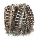 100Pcs 5-7 Inches Natural Pheasant Feathers Wing Quill For Crafts Hats Party Decorations