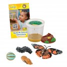 Insect Lore 5 Live Caterpillars Cup of Caterpillars Butterfly Kit Refill - Plus Butterfly