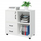 Office Storage Cabinet With 2 Drawers, Modern Rolling Cabinet With 3 Storage Shelves Prin