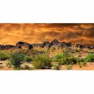 Dusk Desolate Desert 20X10Ft Vinyl Photography Background Sunset Glow Cactuses Weathered