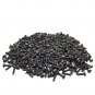 10-32 Pilot Point Rack Mount Screws 500 Pack Jar- Usa Made