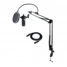 Audio-Technica AT2035 Studio Condenser Microphone with Knox Filter & Boom Arm
