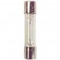 8V 250mA Fuse Type Lamp