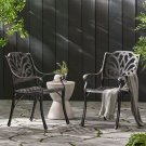 Fonzo Outdoor Bronze Cast Aluminum Dining Chairs (Set of 2)