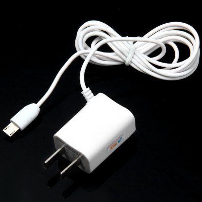 Practical 100 - 240V AC Input US Plug Micro USB Power Charger