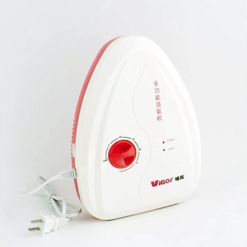 Fruit Vegetables Food Active Ozone Generator Water Air Sterilizer Ozonizer