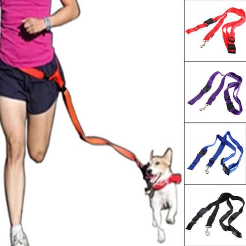 Nylon Dog Leash Rope Training Slip Lead Strap Adjustable Traction Collar (color black