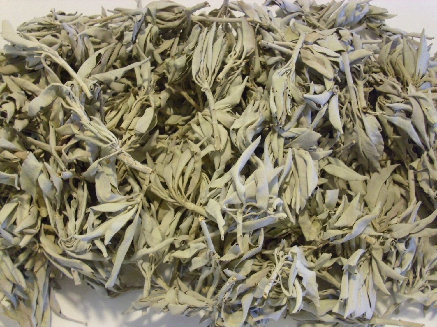 California White Sage Smudge Loose Cluster Incense Bulk (1/2 Pound) VW1