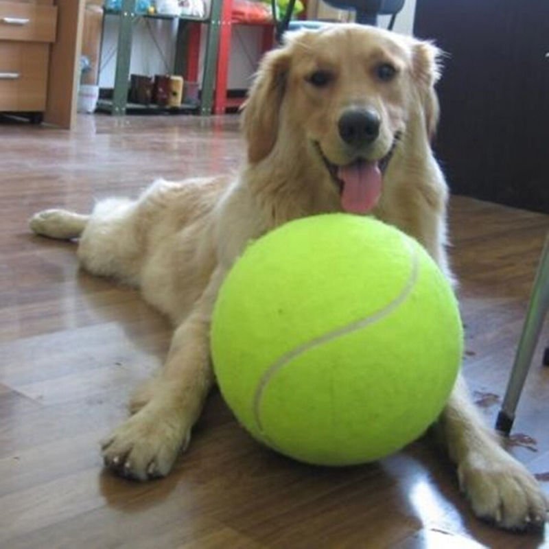 Giant tennis ball 24 CM Pet TOY VW2